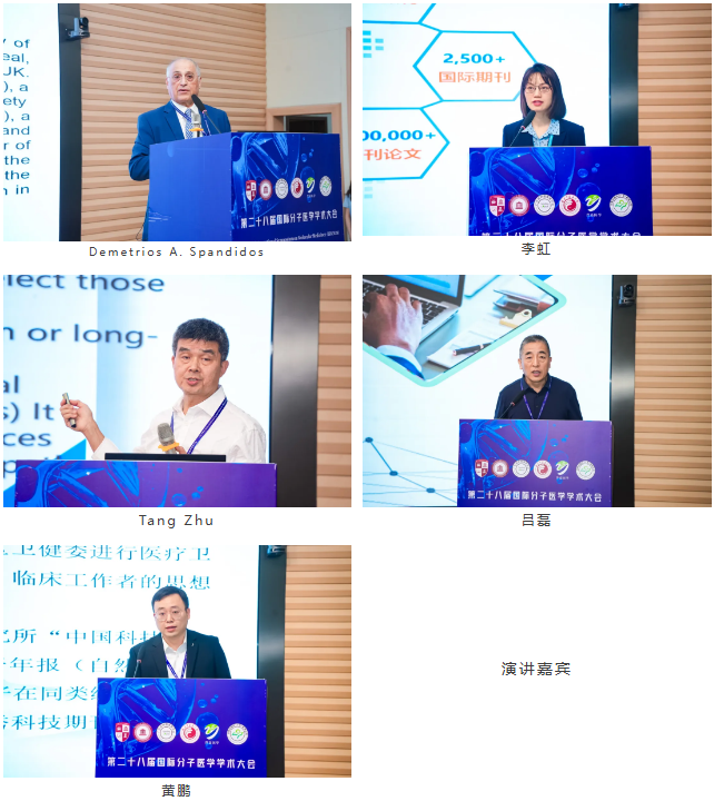 描述图片的文字